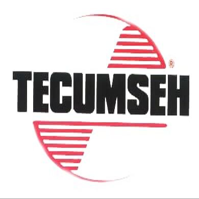 Tecumseh Rod & Fork Part # 784391