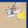 ArtToFrames 30x20 Inch Custom Cork Bulletin Board. This Classic Patterns Pin Board Comes Has a Fabric Style Canvas Finish, in a Blue Stain on Beech Frame (PinPix-266-30x20_0066-81792-YBLU) view 2