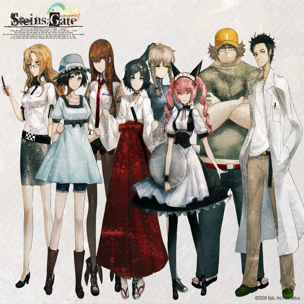 Steins;Gate Customized 18x14 inch Silk Print Poster/WallPaper Great Gift