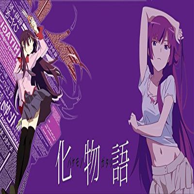 Bakemonogatari Customized 24x14 inch Silk Print Poster/WallPaper Great Gift