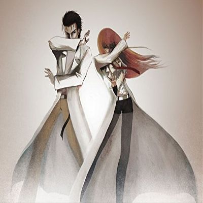 Steins;Gate Customized 33x24 inch Silk Print Poster/WallPaper Great Gift