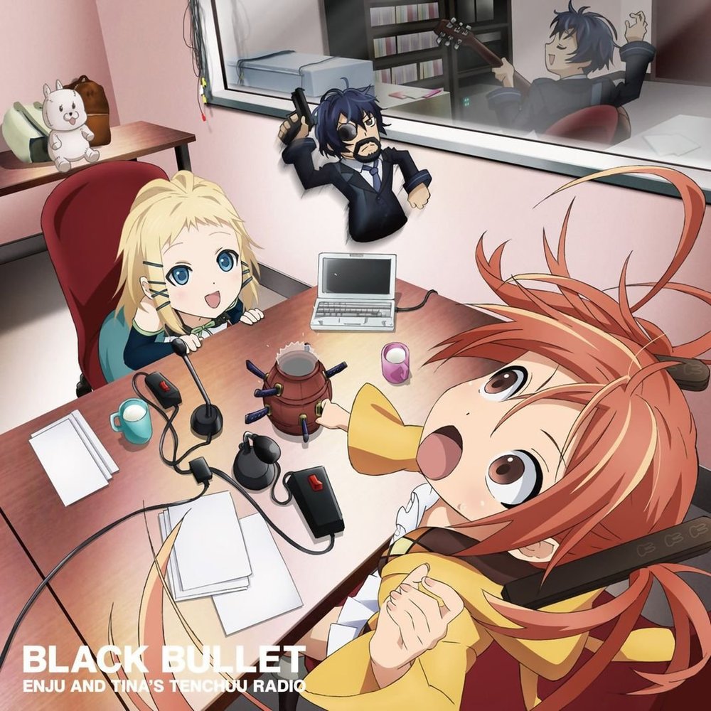 Black Bullet Customized 14x14 inch Silk Print Poster/WallPaper Great Gift