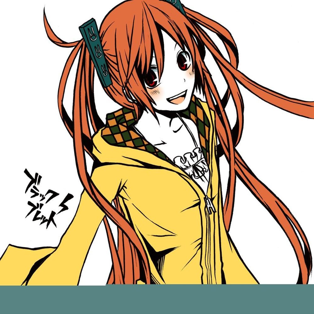 Black Bullet Customized 16x14 inch Silk Print Poster/WallPaper Great Gift