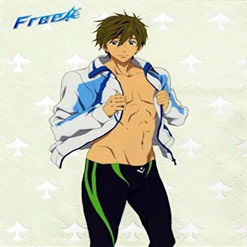 Free Anime Customized 14x20 inch Silk Print Poster/WallPaper Great Gift