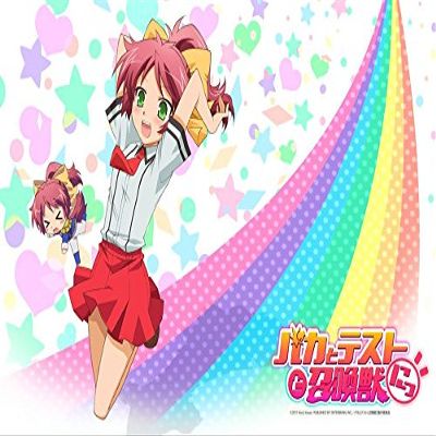 Baka to Test to Shoukanjuu Ni! Customized 22x14 inch Silk Print Poster/WallPaper Great Gift