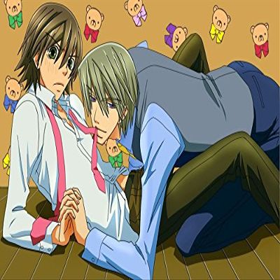 Danshi Koukousei no Nichijou Customized 23x14 inch Silk Print Poster/WallPaper Great Gift