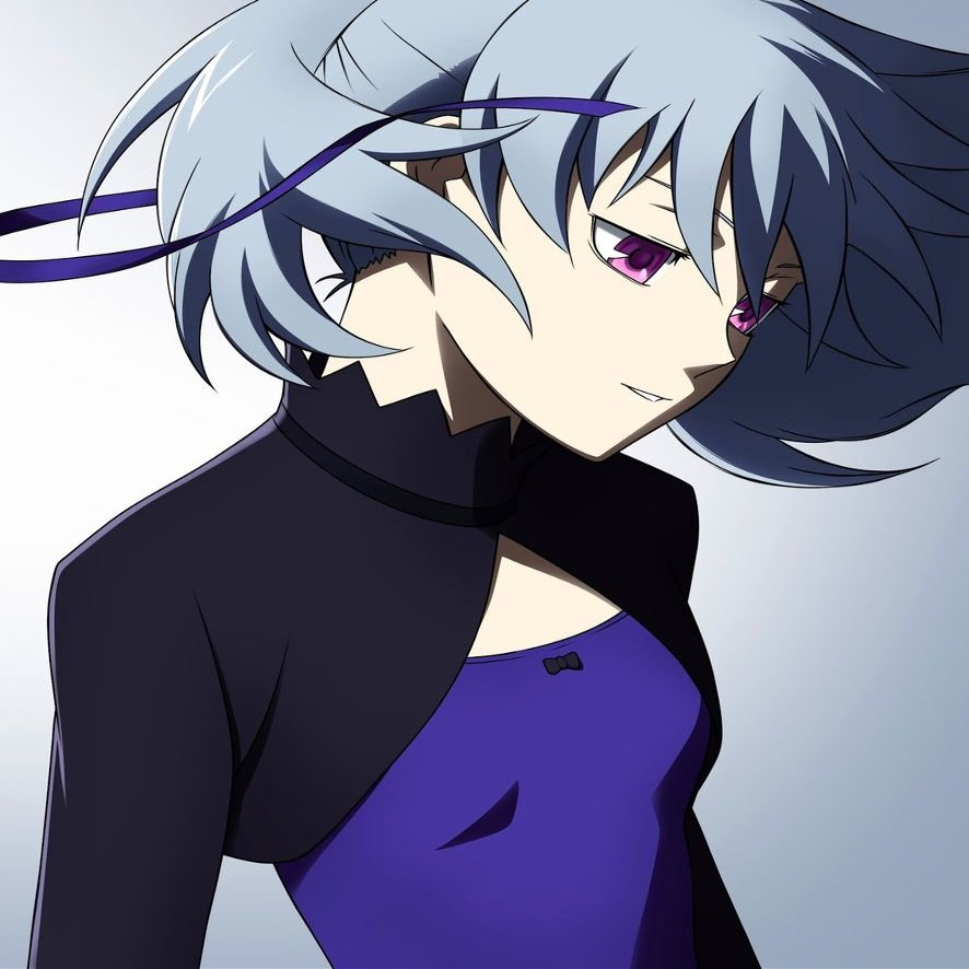 Darker than Black Ryuusei no Gemini Customized 14x17 inch Silk Print Poster/WallPaper Great Gift