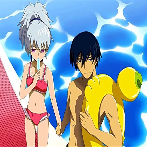 Darker than Black Ryuusei no Gemini Customized 19x14 inch Silk Print Poster/WallPaper Great Gift