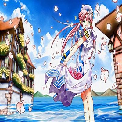 Aria the Origination Customized 22x14 inch Silk Print Poster/WallPaper Great Gift