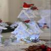 Icy Craft Tall Forest House w/Cardinals view 1
