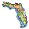 Florida State Decowood Jumbo Wood Fridge Magnet 5 view 1