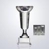 Crystal King's Bowl Trophy(Medium Size) view 1