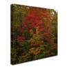 Trademark Fine Art Why I Love Autumn 2 Wall Decor by Kurt Shaffer, 18" x 18" view 2