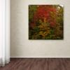 Trademark Fine Art Why I Love Autumn 2 Wall Decor by Kurt Shaffer, 18" x 18" view 3