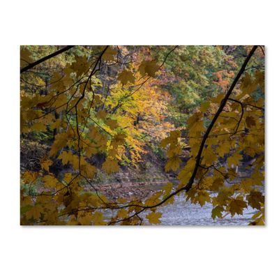 Trademark Fine Art Brilliant Ohio Autumn Wall Decor by Kurt Shaffer, 18" x 24"