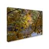 Trademark Fine Art Brilliant Ohio Autumn Wall Decor by Kurt Shaffer, 18" x 24" view 2