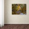 Trademark Fine Art Brilliant Ohio Autumn Wall Decor by Kurt Shaffer, 18" x 24" view 3