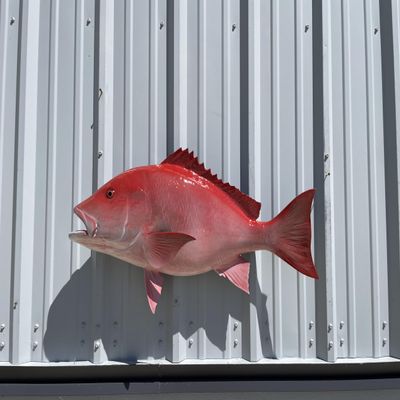 36" Red Snapper Wall Mount Fish Replica Trophy