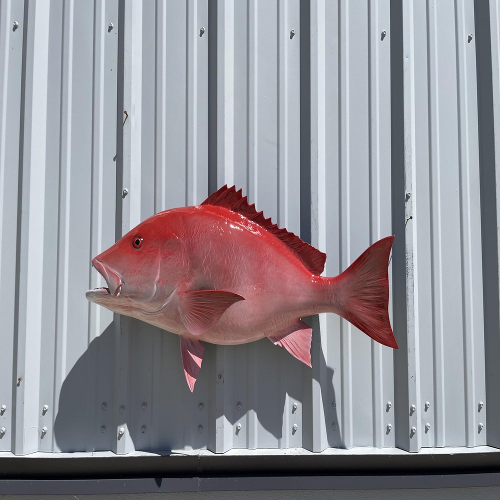 36" Red Snapper Wall Mount Fish Replica Trophy