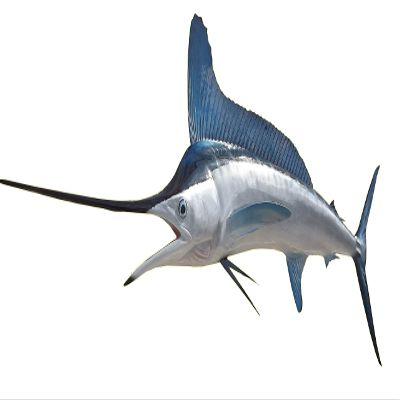 White Marlin Wall Mount 75 Inch Half Mount Fish Replica for Fishing & Coastal Wall Decor