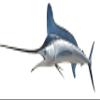 White Marlin Wall Mount  75 Inch Half Mount Fish Replica for Fishing & Coastal Wall Decor view 1