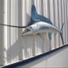 White Marlin Wall Mount  75 Inch Half Mount Fish Replica for Fishing & Coastal Wall Decor view 3