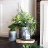 ACCENT DECOR Vase Norah 10.5`, 1 EA view 4