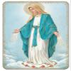 Gifts Catholic, Inc. Pack of 10 - Our Lady of Grace, The Mysteries of the Rosary Prayer Card - 3-3/8" PVC Full Color with Gold Accents Holy Prayer Card, Wallet Sized Print, Made in Italy view 2