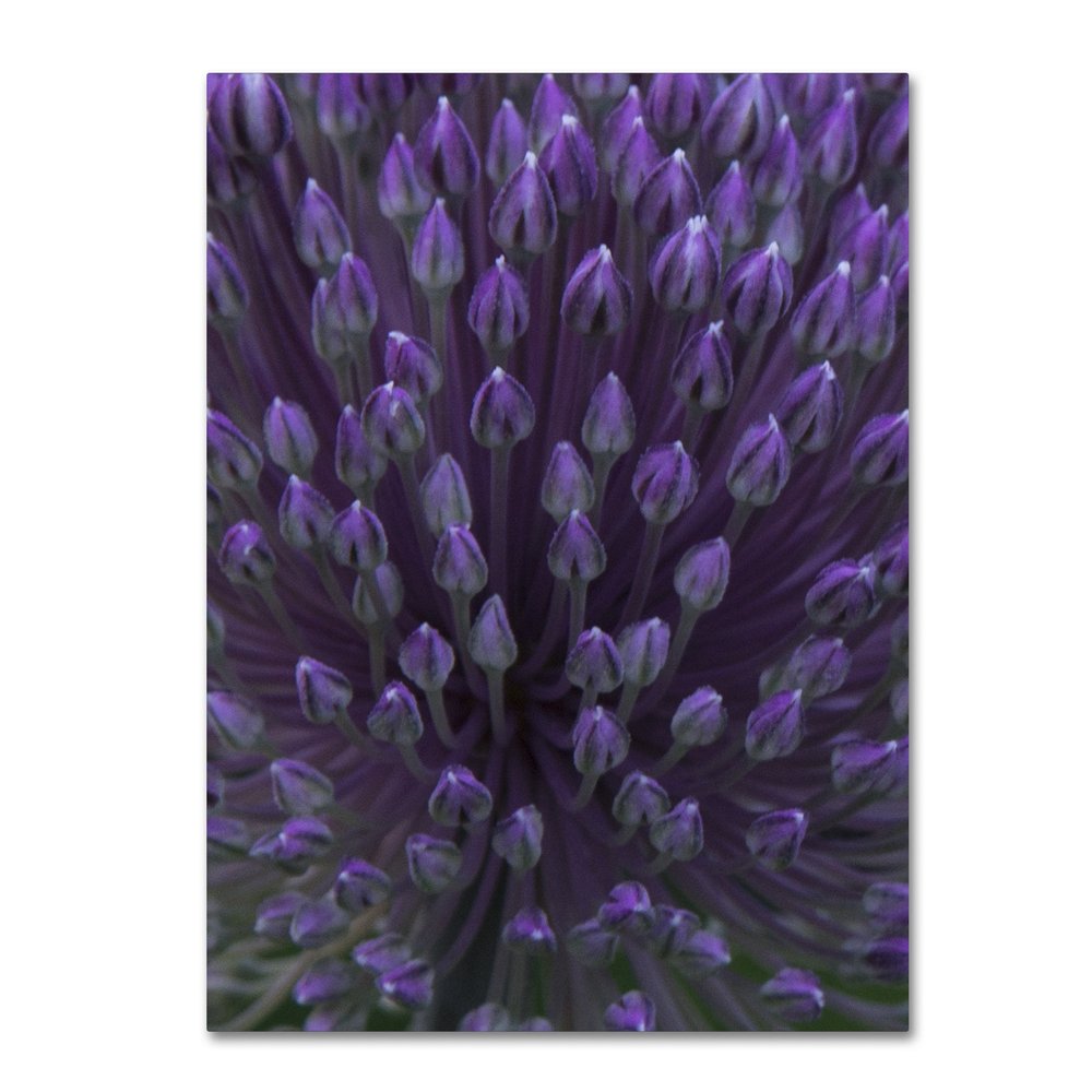 Trademark Fine Art Alien Flower Pods Wall Decor by Kurt Shaffer, 24 by 32"