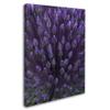 Trademark Fine Art Alien Flower Pods Wall Decor by Kurt Shaffer, 24 by 32" view 2