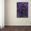Trademark Fine Art Alien Flower Pods Wall Decor by Kurt Shaffer, 24 by 32" view 3