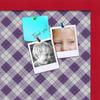 ArtToFrames 18x12 Inch Custom Cork Bulletin Board. This Argyle Purple Pin Board Comes with a Fabric Style Canvas Finish, in a Red Stain on Beech Frame (PinPix-633-18x12_0066-81792-YRED) view 2