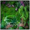 Carpets for Kids 60114 Real Jungle Floor Decorative Kids Teen Room Rug 4ft x 6ft Rectangle Green view 1