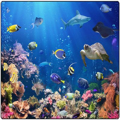 Carpets for Kids 61014 Explore The Ocean Decorative Reading Room Rug 4ft x 6ft Rectangle Blue