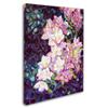 Trademark Fine Art Cascade by Mandy Budan Wall Hanging, 18" x 24" view 2