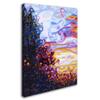 Trademark Fine Art Crescendo by Mandy Budan Wall Hanging, 18" x 24" view 2