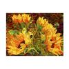 Trademark Fine Art Four Sunflowers by Mandy Budan Wall Hanging, 18" x 24" view 2