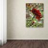 Trademark Fine Art Last Rose of Summer by Mandy Budan Wall Hanging, 18" x 24" view 3