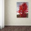 Trademark Fine Art Passing Storm by Mandy Budan Wall Hanging, 18" x 24" view 3
