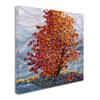 Trademark Fine Art Stormlight by Mandy Budan Wall Hanging, 24" x 24" view 2