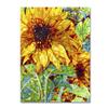 Trademark Fine Art Summer in the Garden by Mandy Budan Wall Hanging, 18" x 24" view 1