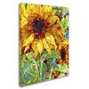 Trademark Fine Art Summer in the Garden by Mandy Budan Wall Hanging, 18" x 24" view 2