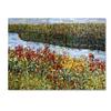 Trademark Fine Art The River by Mandy Budan Wall Hanging, 18" x 24" view 1
