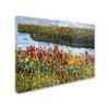 Trademark Fine Art The River by Mandy Budan Wall Hanging, 18" x 24" view 2