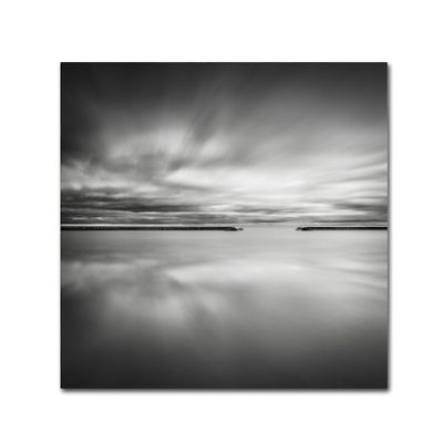 Trademark Fine Art Double Vision Artwork by Dave MacVicar, 24 x 24"