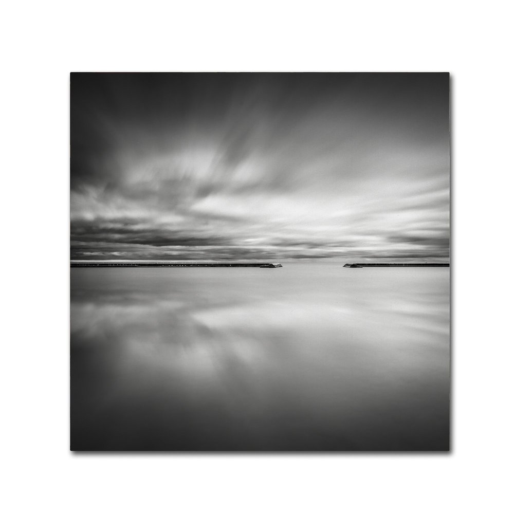 Trademark Fine Art Double Vision Artwork by Dave MacVicar, 24 x 24"