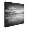 Trademark Fine Art Double Vision Artwork by Dave MacVicar, 24 x 24" view 2