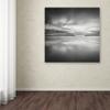 Trademark Fine Art Double Vision Artwork by Dave MacVicar, 24 x 24" view 3