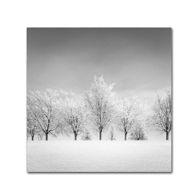 Trademark Fine Art Ice Storm Artwork by Dave MacVicar, 18 x 18"