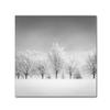 Trademark Fine Art Ice Storm Artwork by Dave MacVicar, 18 x 18" view 1